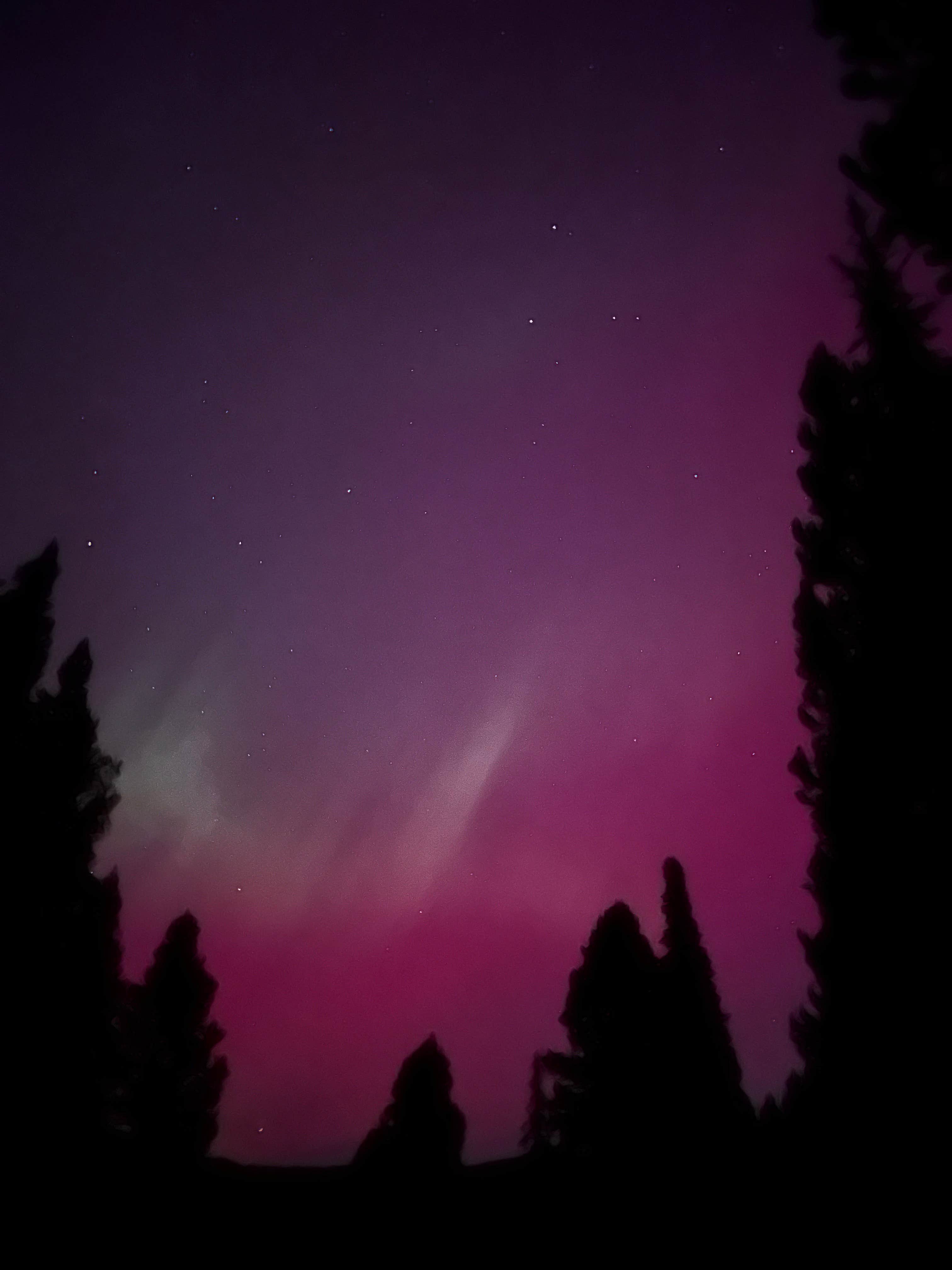 Camper-submitted photo at South Fork Brackett Creek Dispersed Site near Livingston, MT