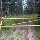 Review photo of South Fork Brackett Creek Dispersed Site by Bobby J., July 24, 2024