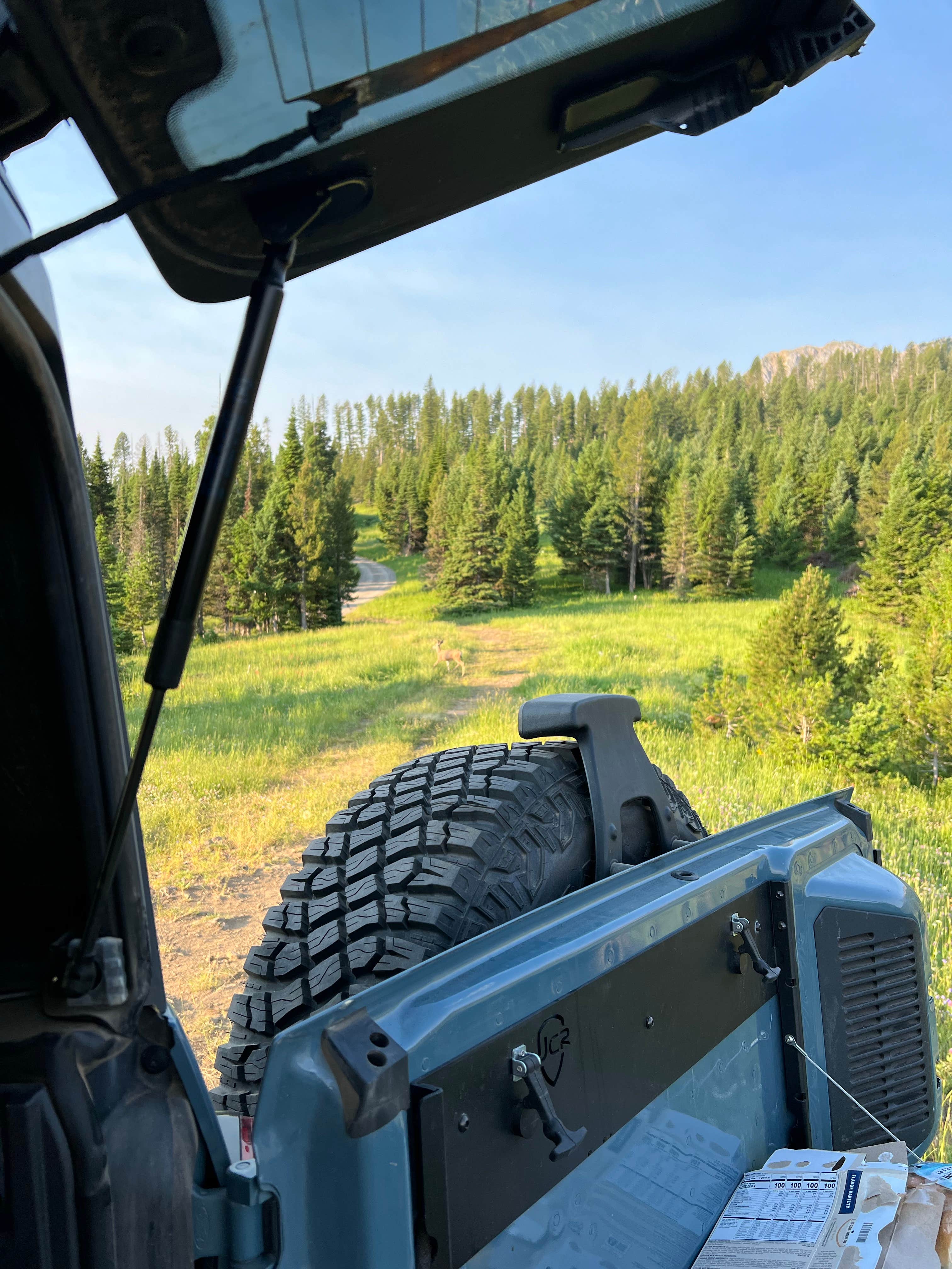 Camper-submitted photo at South Fork Brackett Creek Dispersed Site near Gallatin National Forest