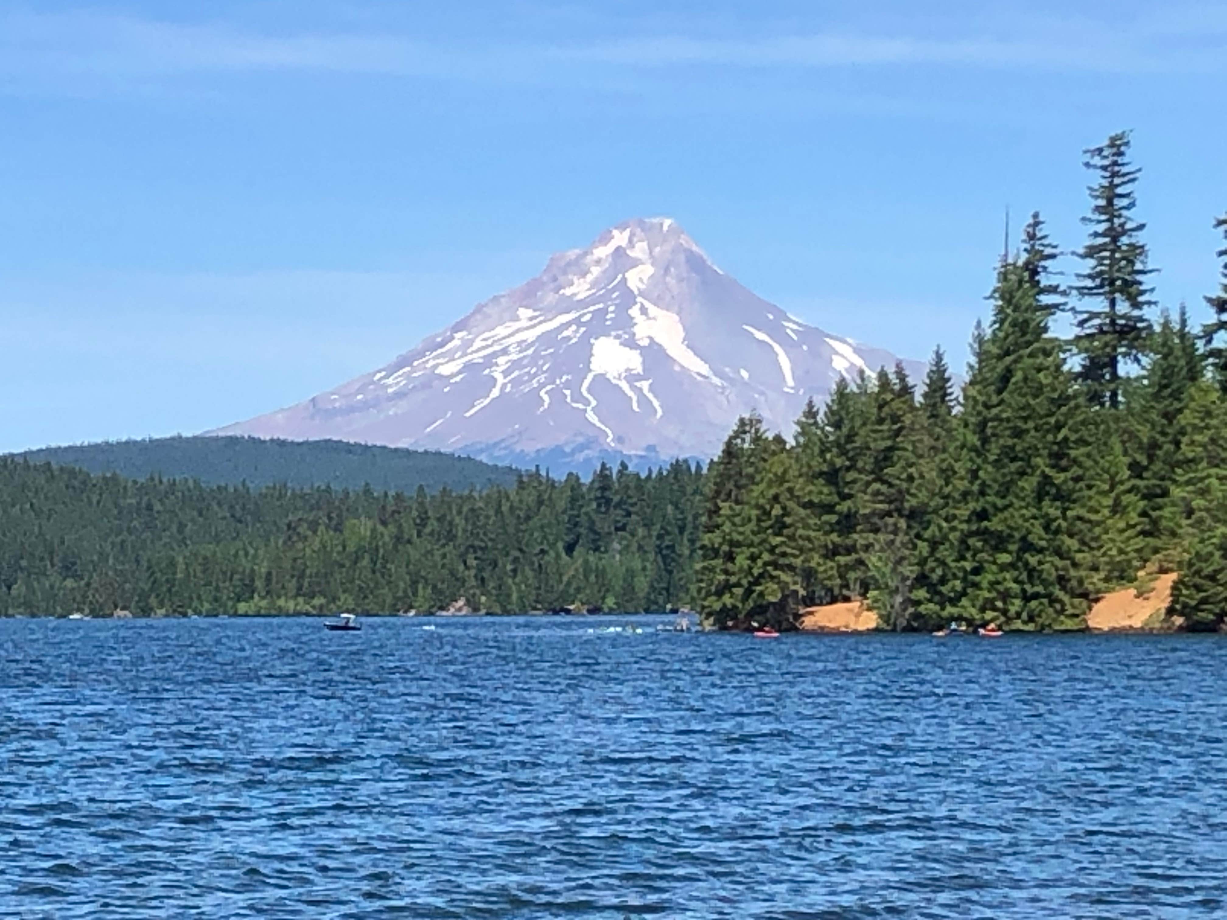 Jessica's photo of a dispersed camping area at Dispersed Sites Along the PCT near Scotts Mills, OR