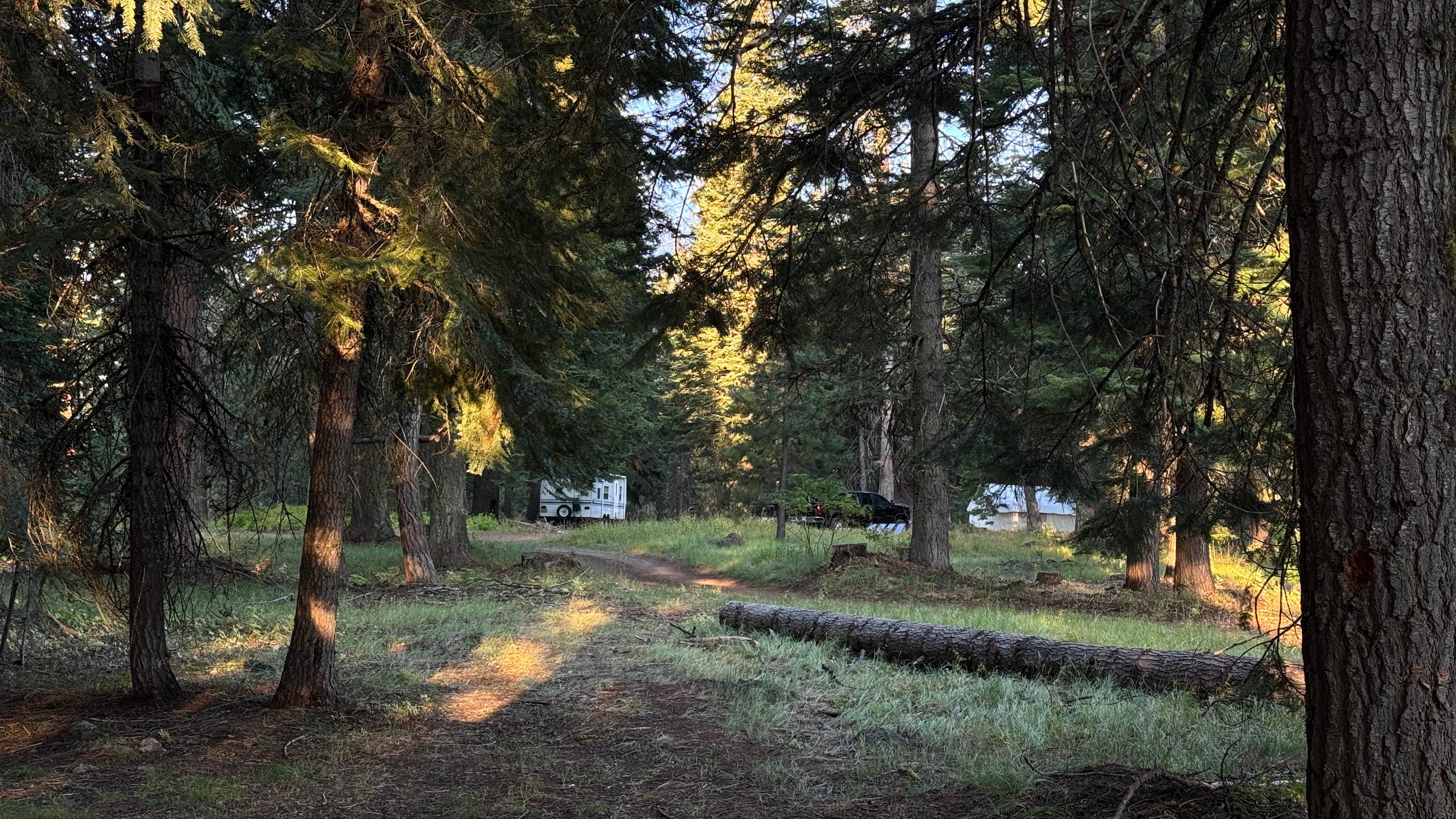 Camping near Ice Lake: Dispersed Sites Near Hells Canyon Overlook, Oxbow, Oregon