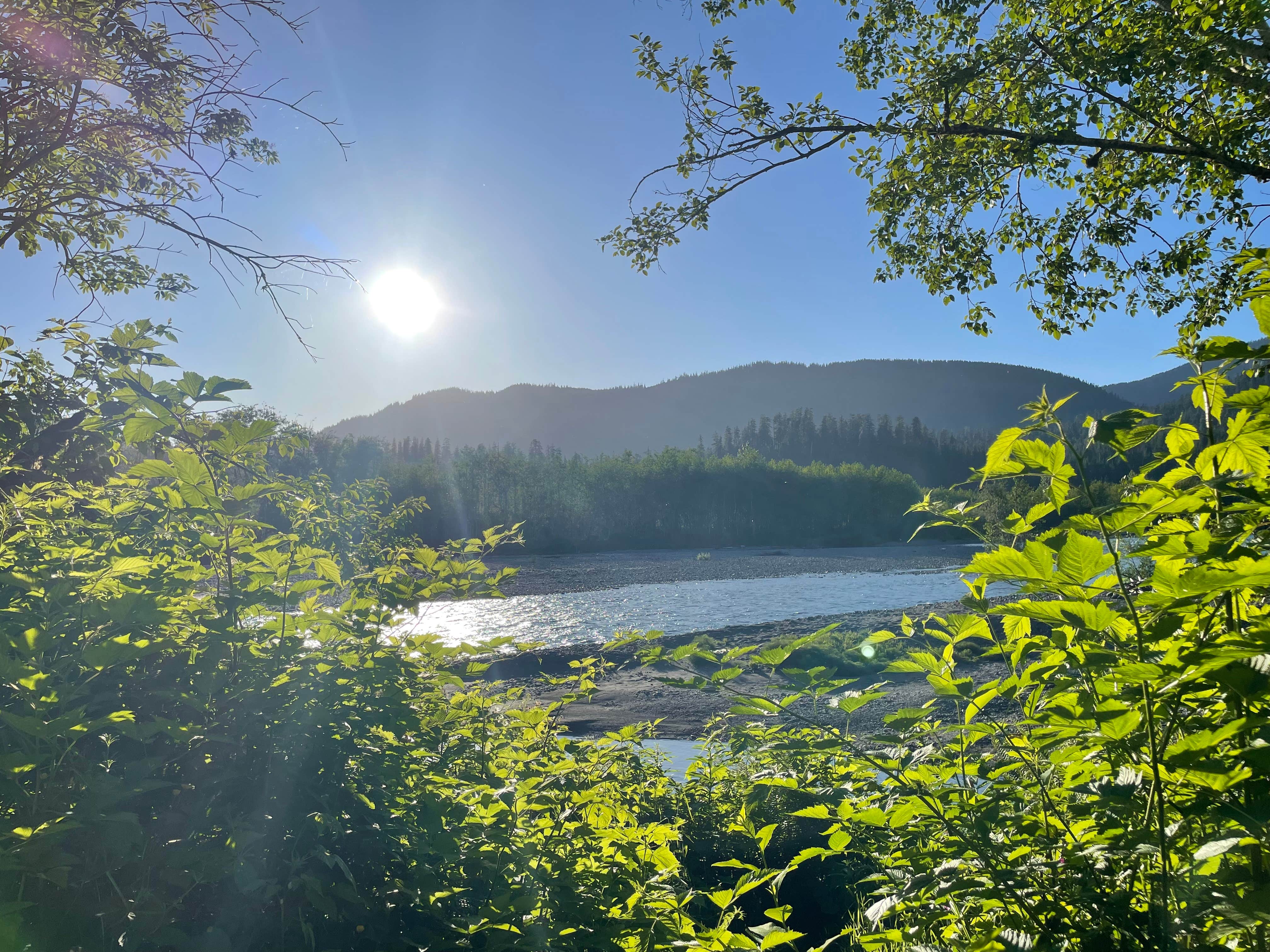 Robert N.'s photo of a dispersed camping area at Dispersed South Shore Road near Bremerton, WA