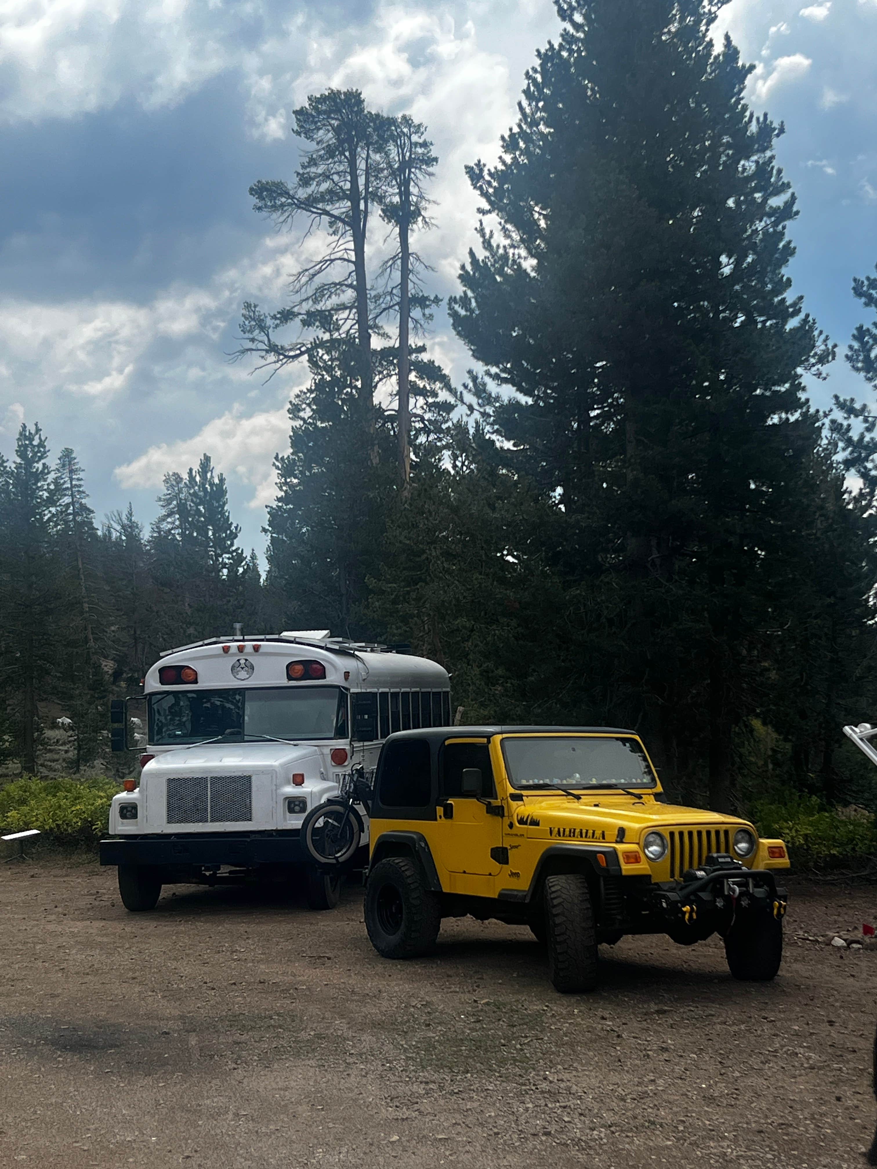 Camper-submitted photo at Dispersed USFS near Bear Valley, CA