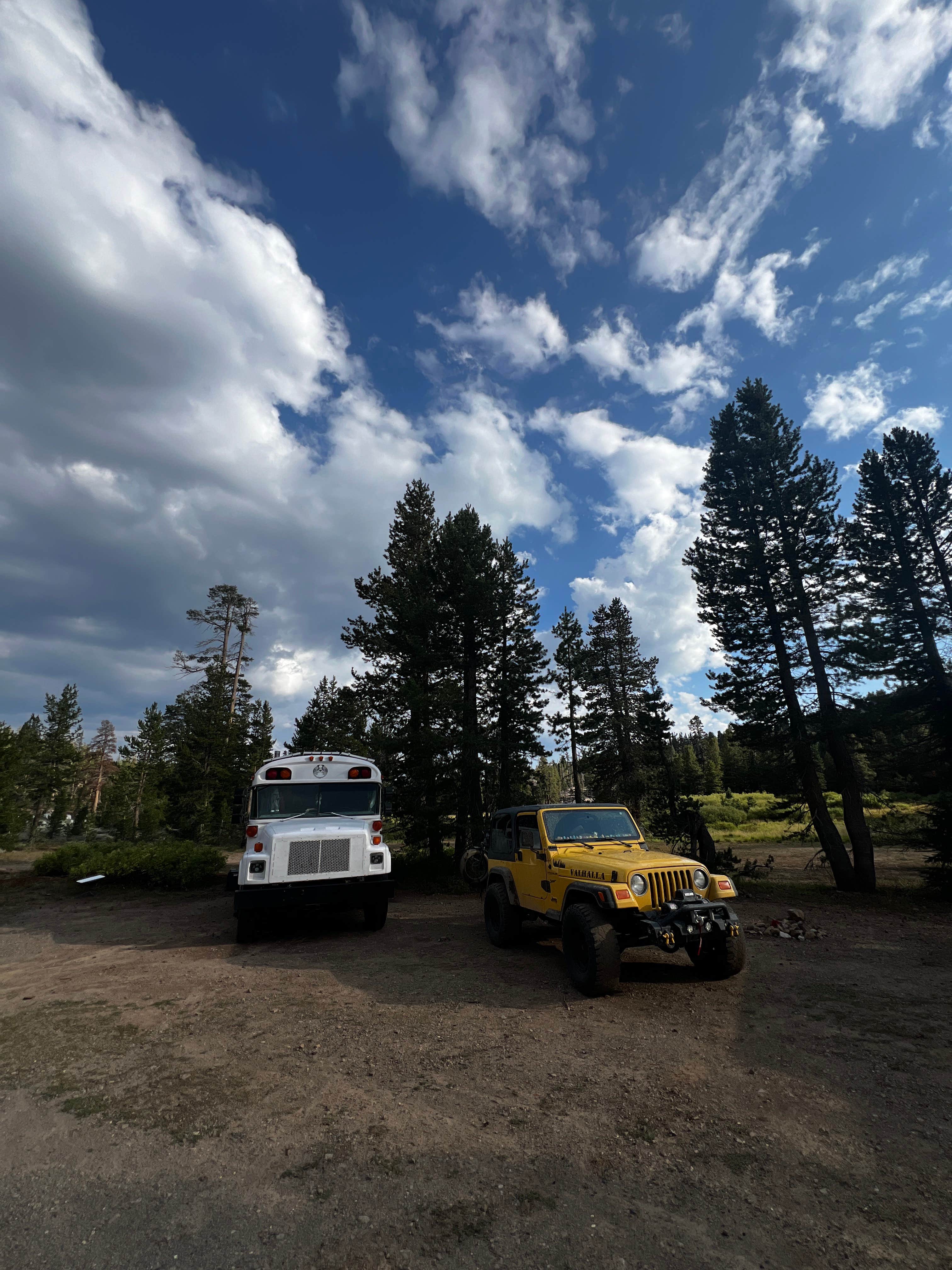 Camper submitted image from Dispersed USFS - 4