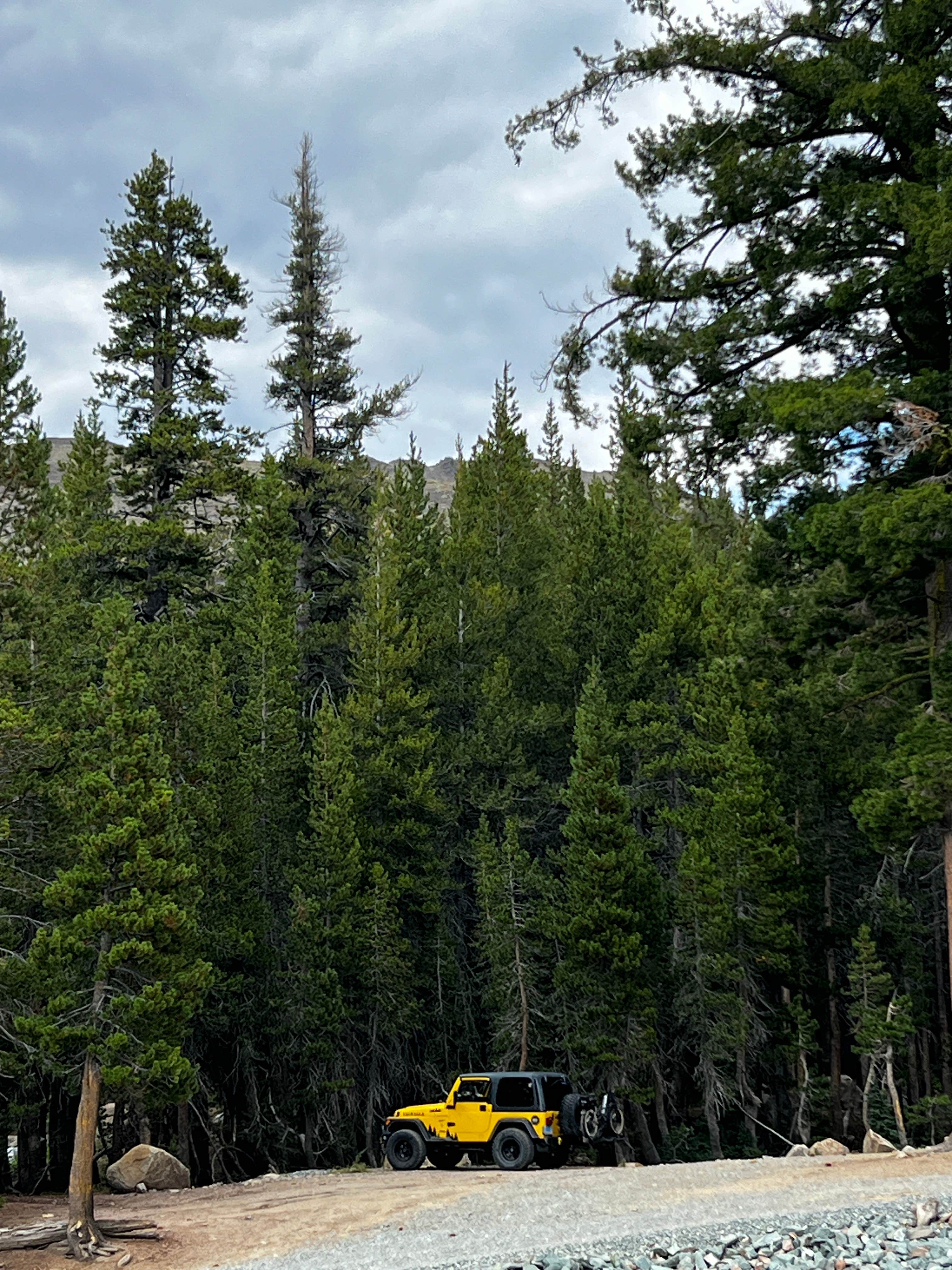 Camper-submitted photo at Dispersed USFS near Bear Valley, CA