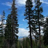 Review photo of Dispersed USFS by Jacqueline G., September 2, 2025