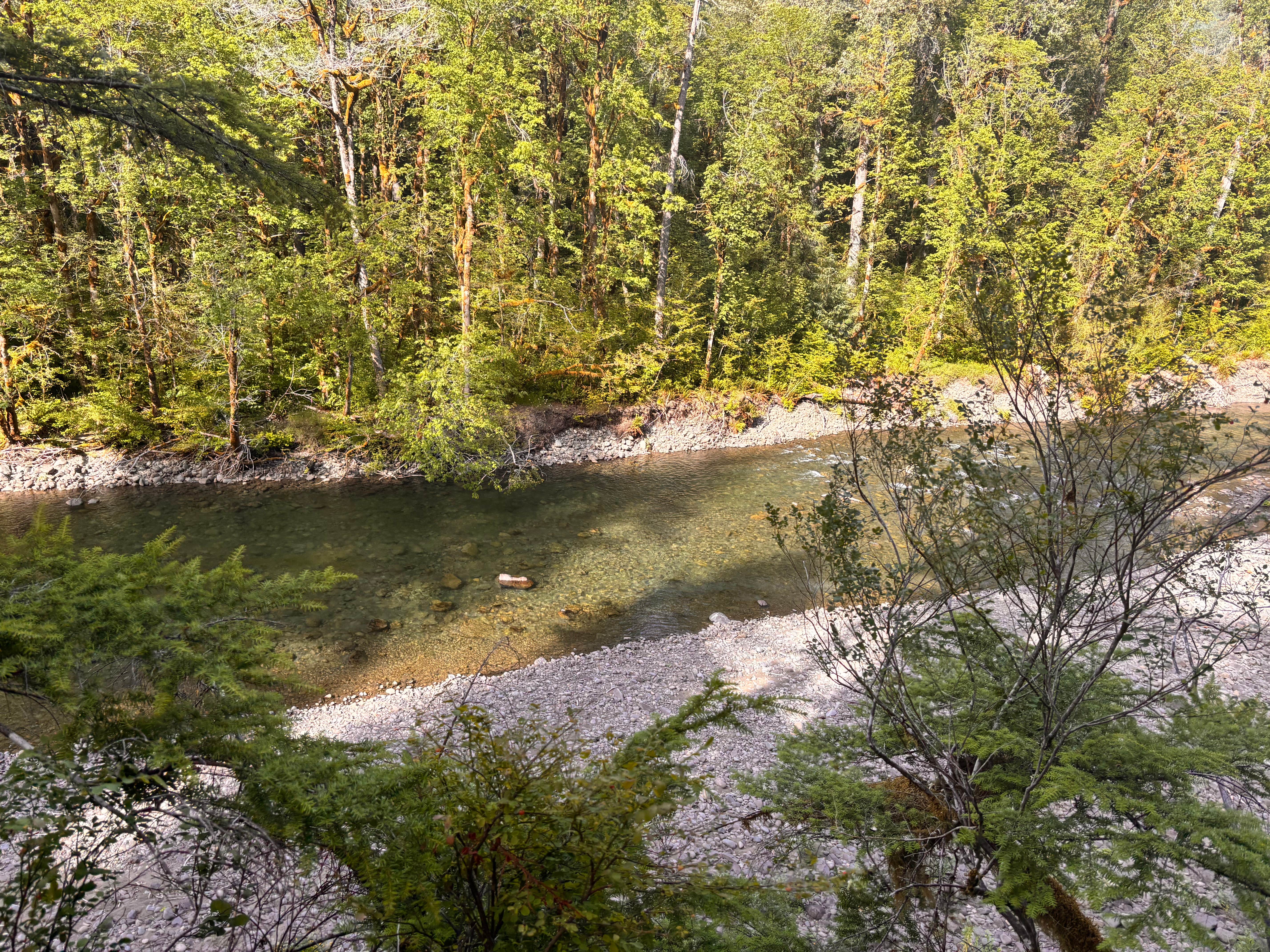 Camper-submitted photo at FS-2918 Dispersed Site near Forks, WA