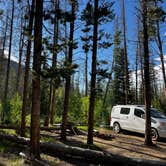 Review photo of Laramie River Road Dispersed by Marasha , June 19, 2024