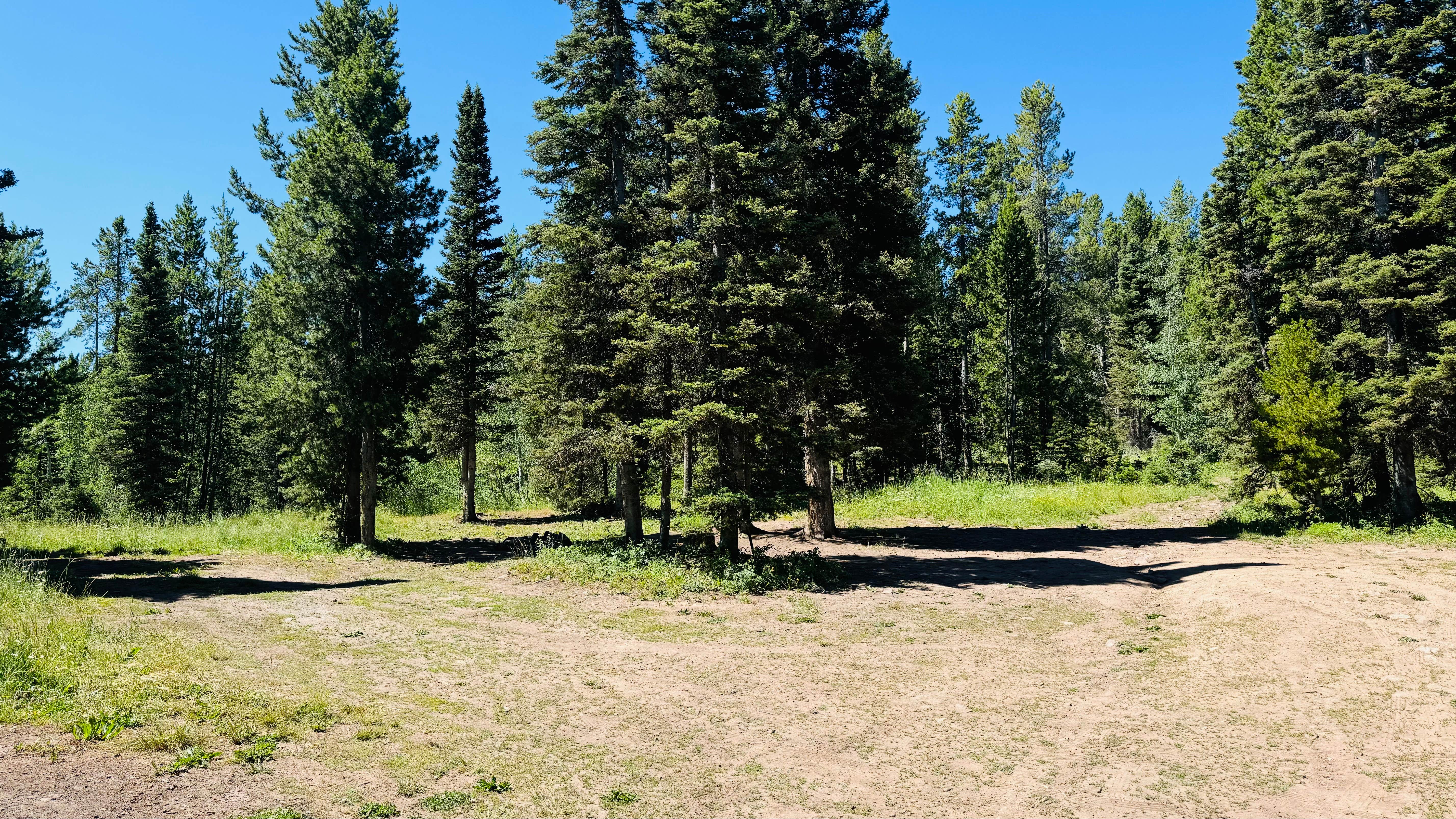 Disperserd Camping