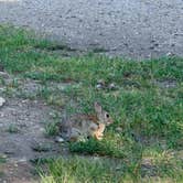 Review photo of Divide Bridge Campground — Bureau Of Land Management by Gerdien V., July 28, 2026