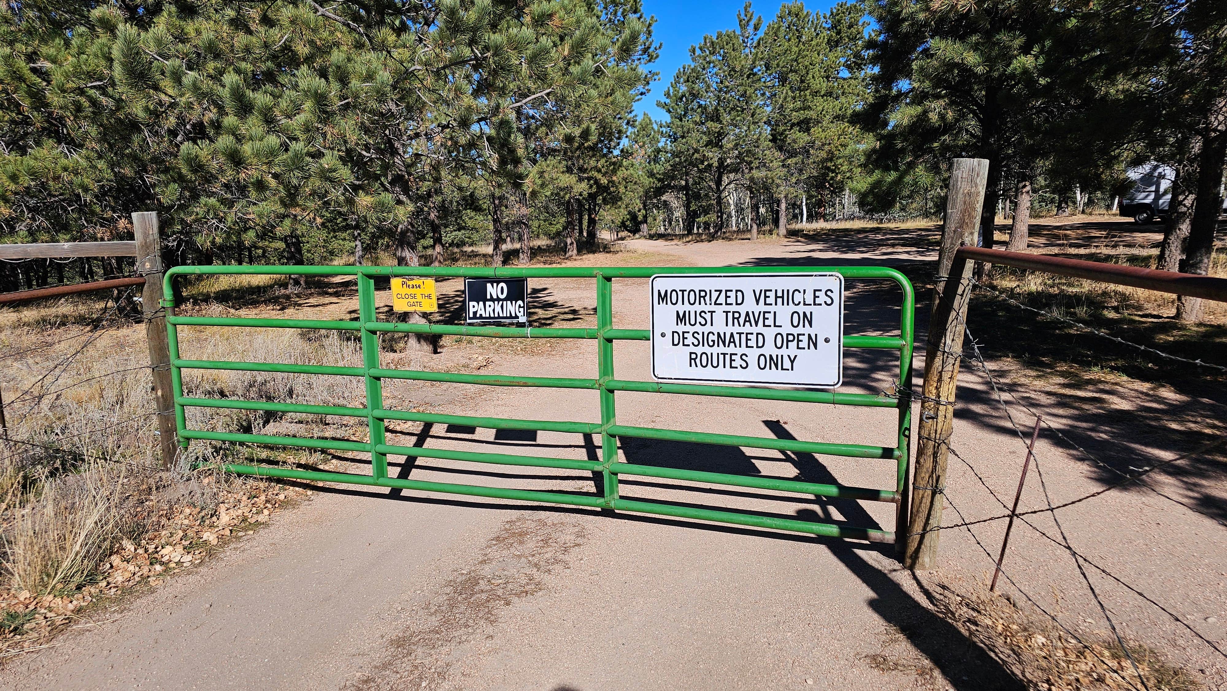 Camper submitted image from Divide, Colorado - 2
