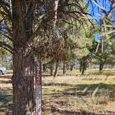 Review photo of Divide, Colorado by johny R., October 22, 2025