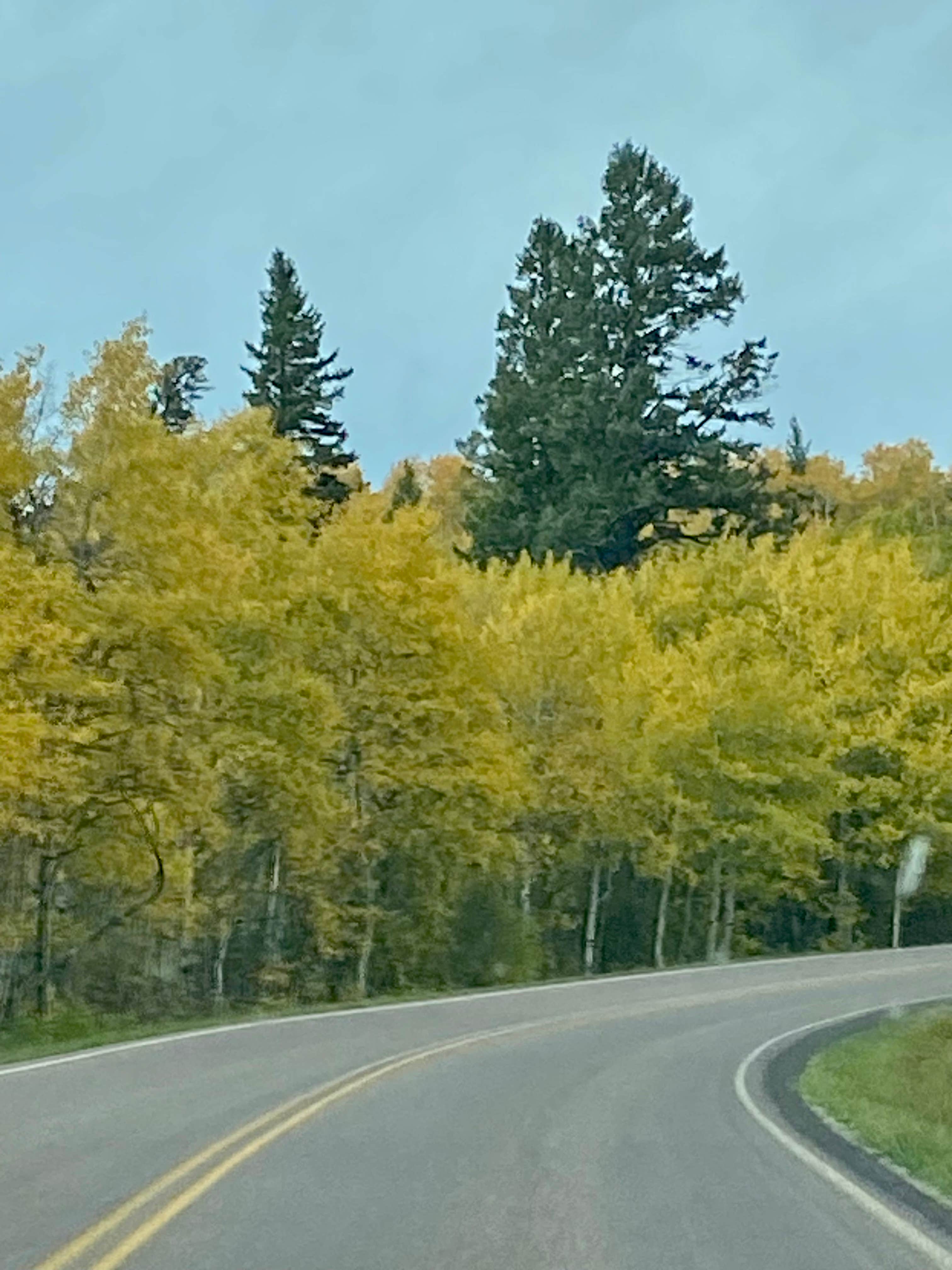 Camper-submitted photo at Divide Creek Campground near Babb, MT