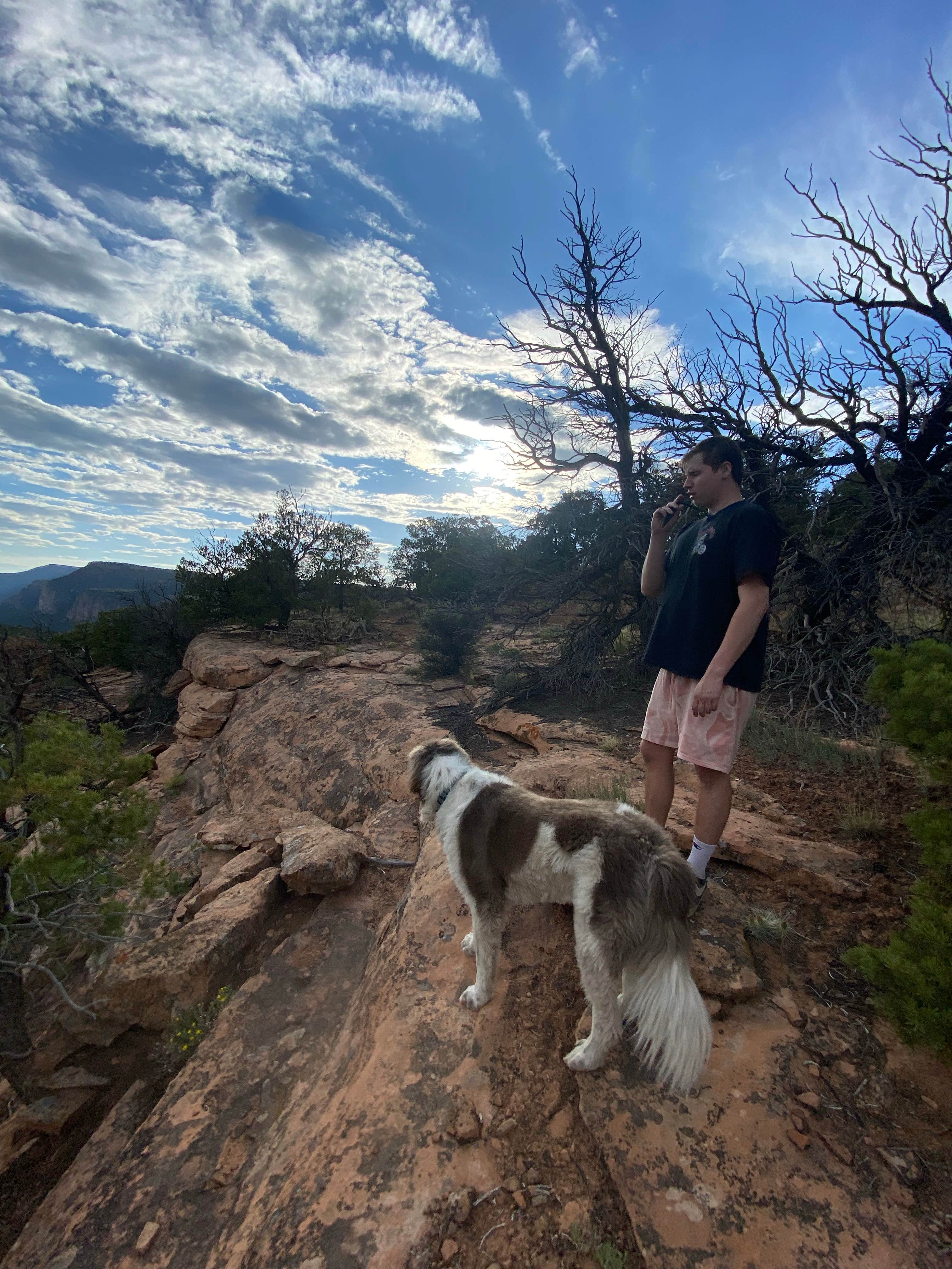 Nora S.'s photo of a dispersed camping area at Divide Rd Dispersed Camping near Fruita, CO