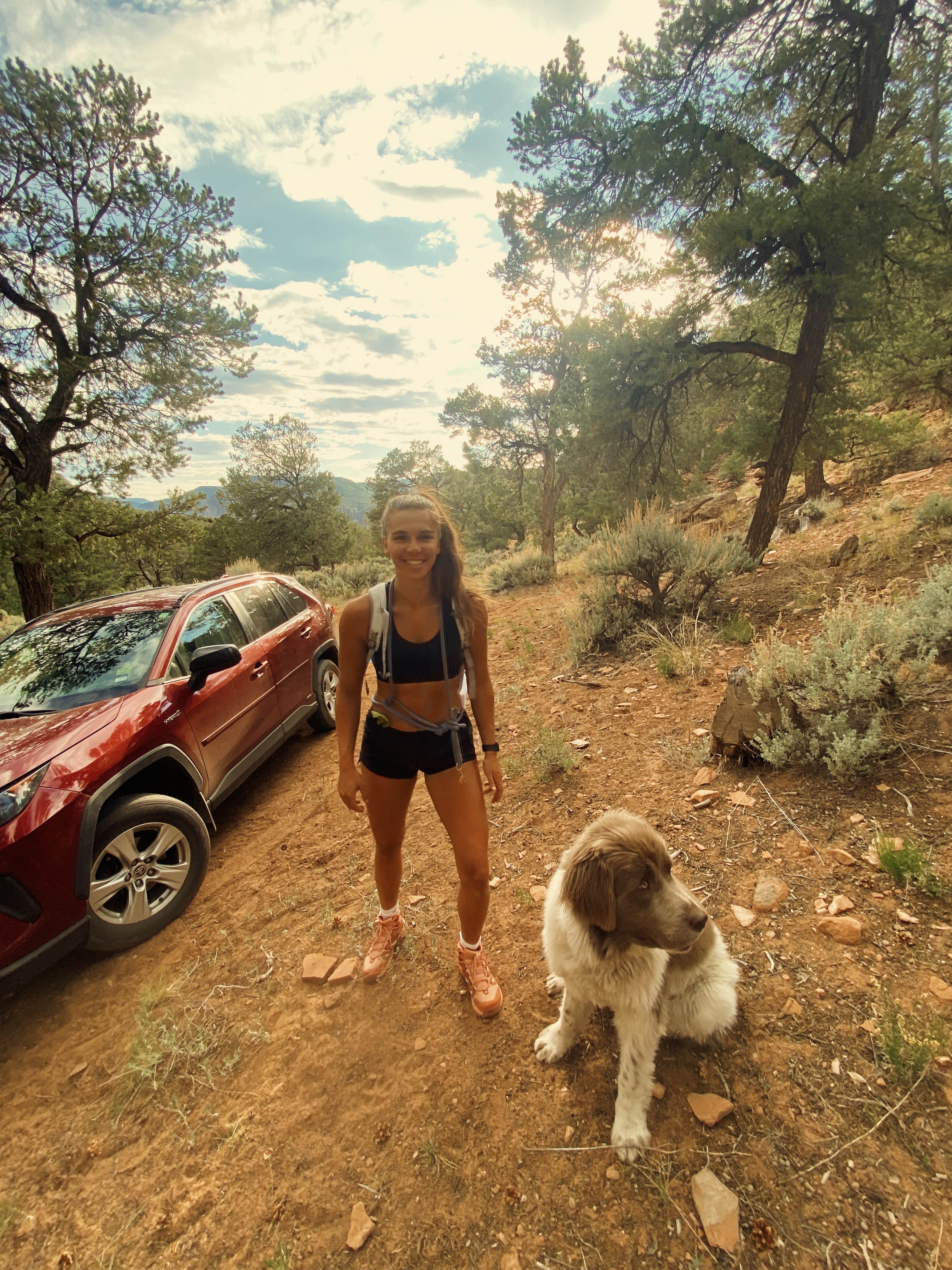 Camper submitted image from Divide Rd Dispersed Camping - 2