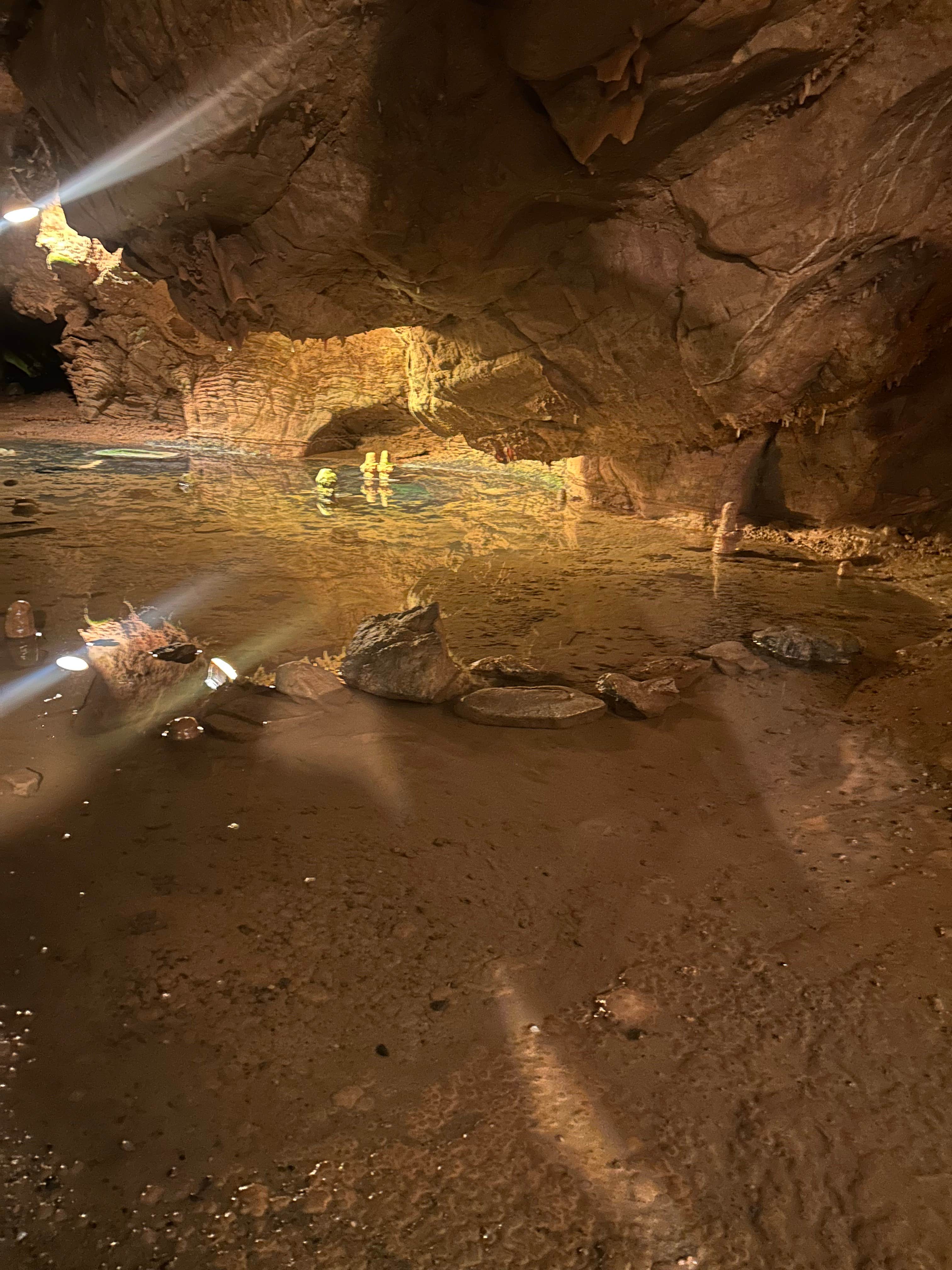 Camper-submitted photo at Dixie Caverns near Paint Bank, VA