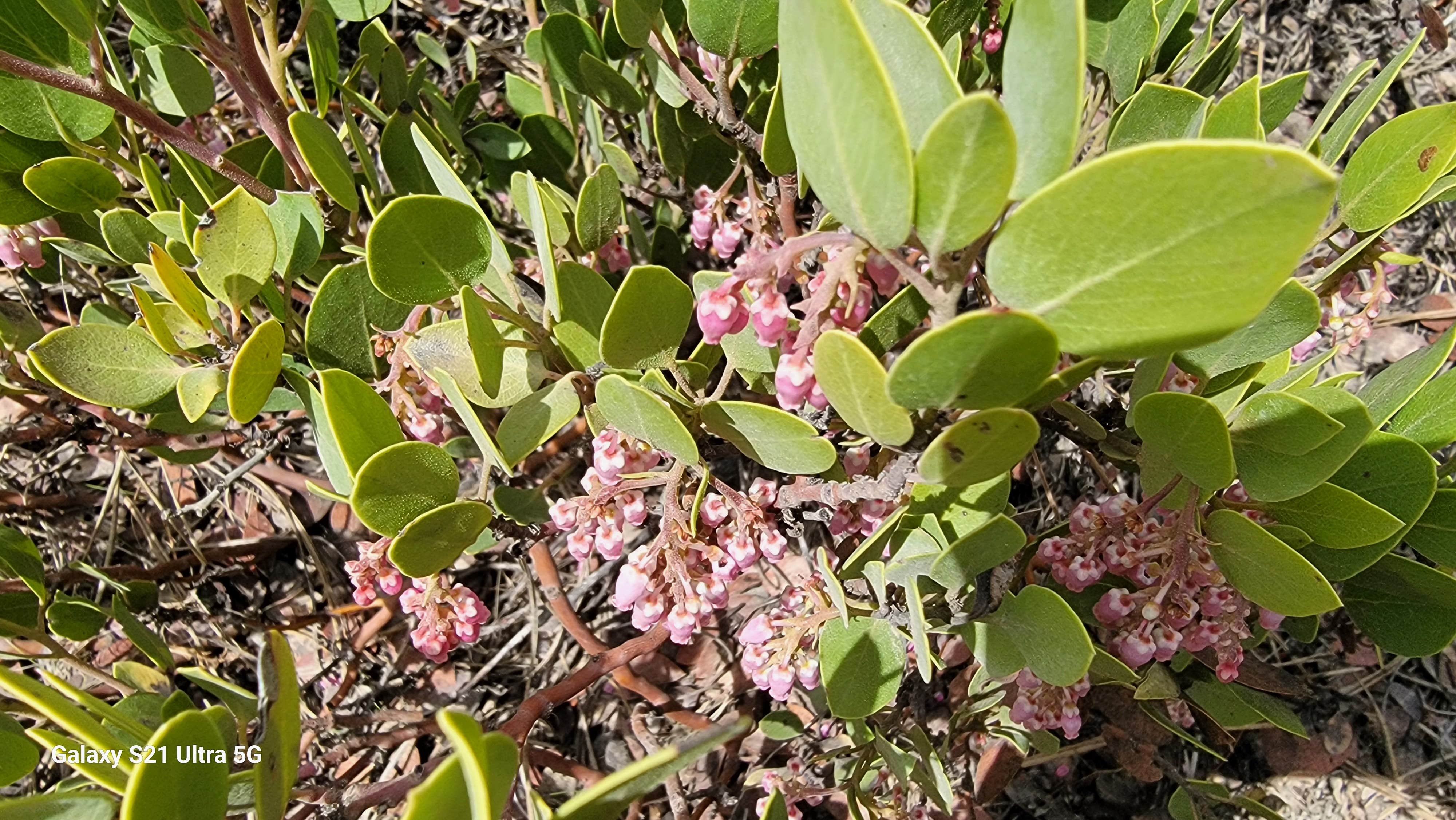 Camper-submitted photo at FR 090 - dispersed camping near Beaver, UT