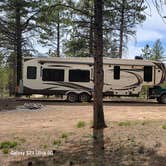 Review photo of FR 090 - dispersed camping by Debby S., May 21, 2024