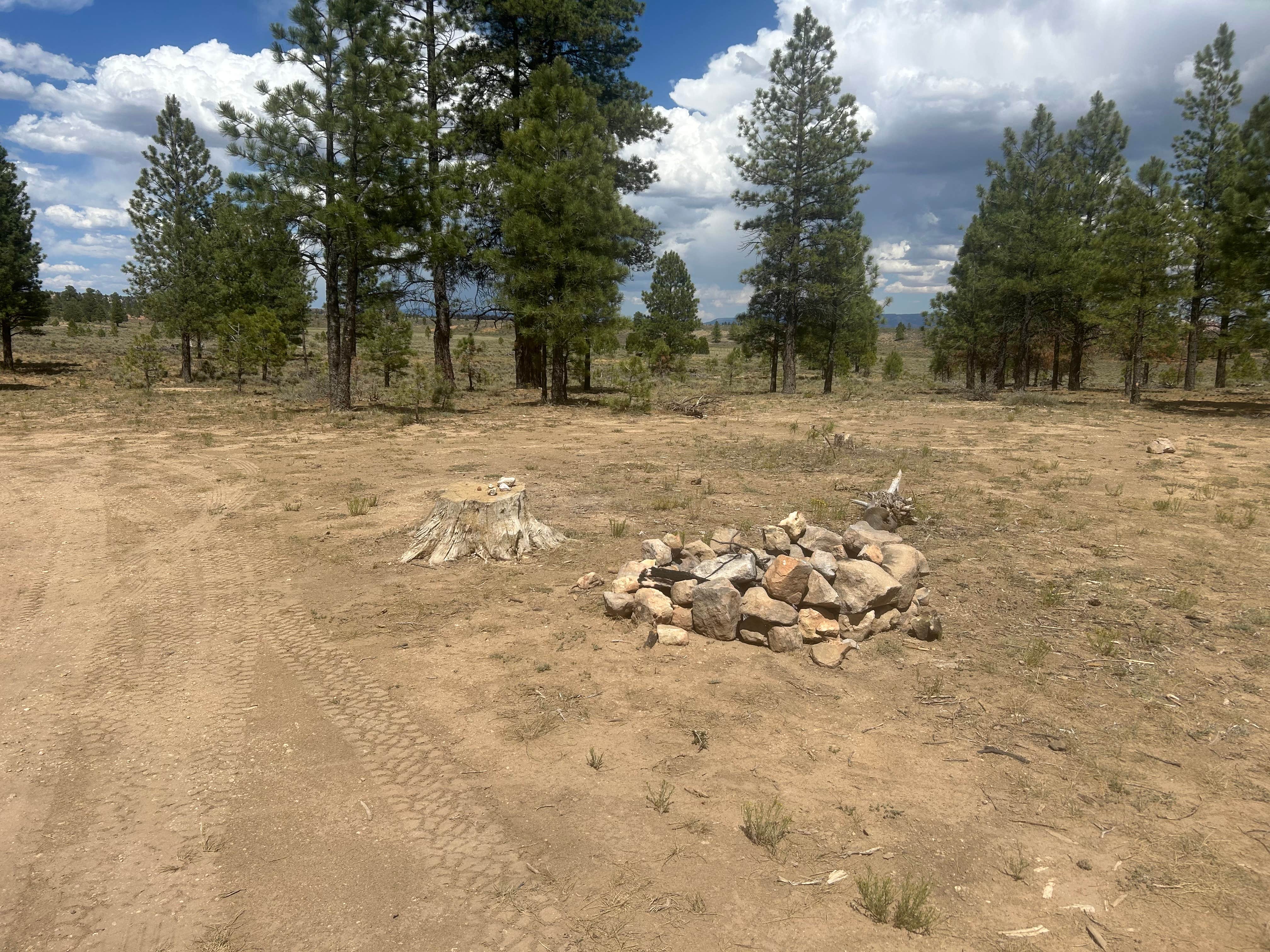 Camper-submitted photo at Dixie National Forest Dispersed Camping Area near Panguitch, UT