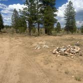 Review photo of Dixie National Forest Dispersed Camping Area by Kathy H., July 6, 2025