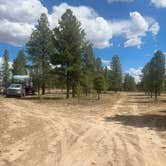 Review photo of Dixie National Forest Dispersed Camping Area by Kathy H., July 6, 2025