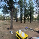 Review photo of Dixie National Forest Dispersed Camping Area by Imerie T., October 11, 2024