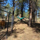 Review photo of Dixie National Forest Dispersed Camping Area by Imerie T., October 11, 2024