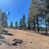 Review photo of Dixie National Forest Dispersed Camping Area by Tracy M., March 10, 2026