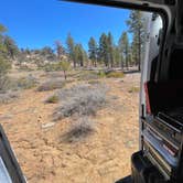Review photo of Dixie National Forest Dispersed Camping Area by Tracy M., March 10, 2026