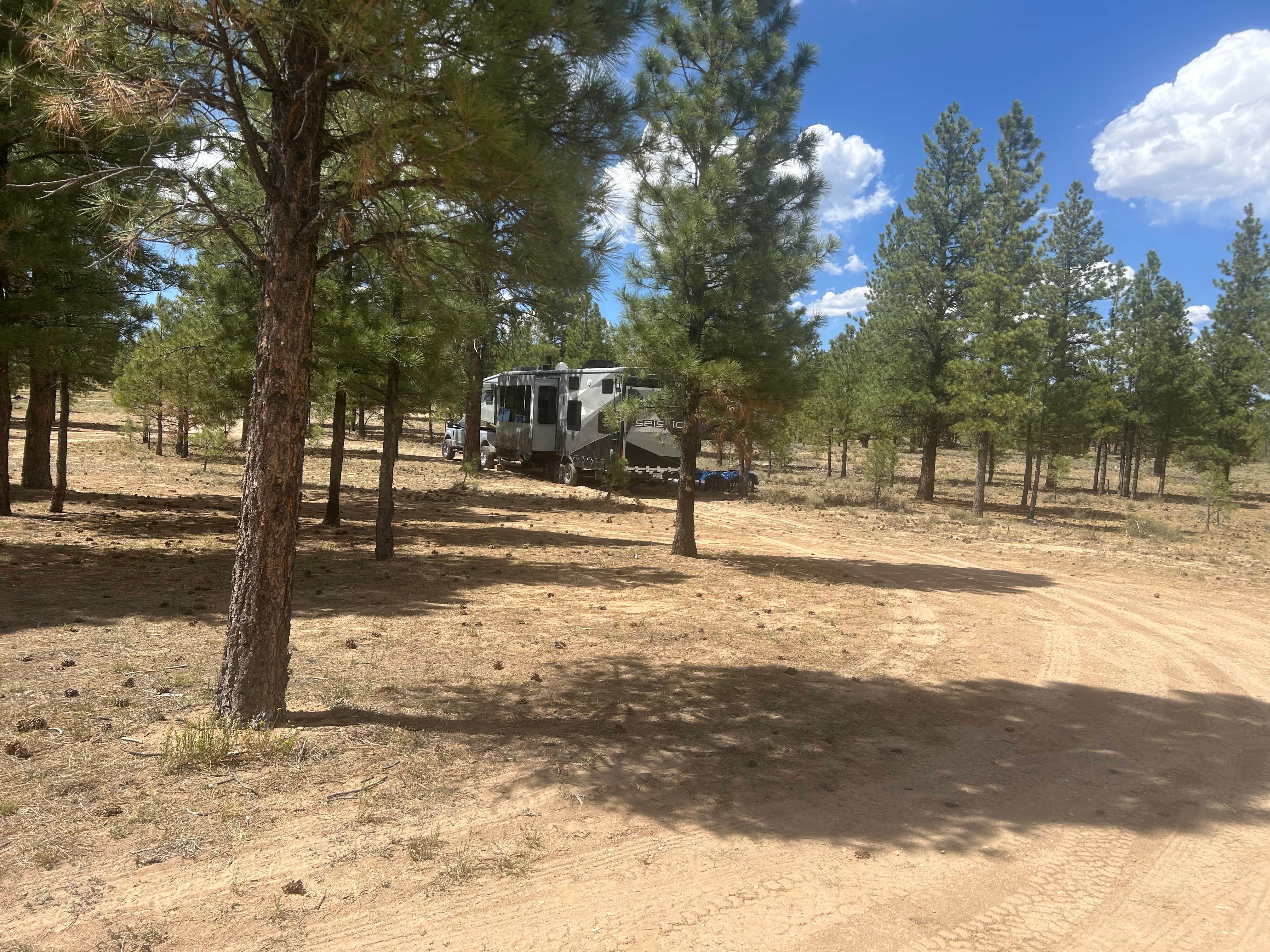 Camper-submitted photo at Dixie National Forest Dispersed Camping Area near Panguitch, UT