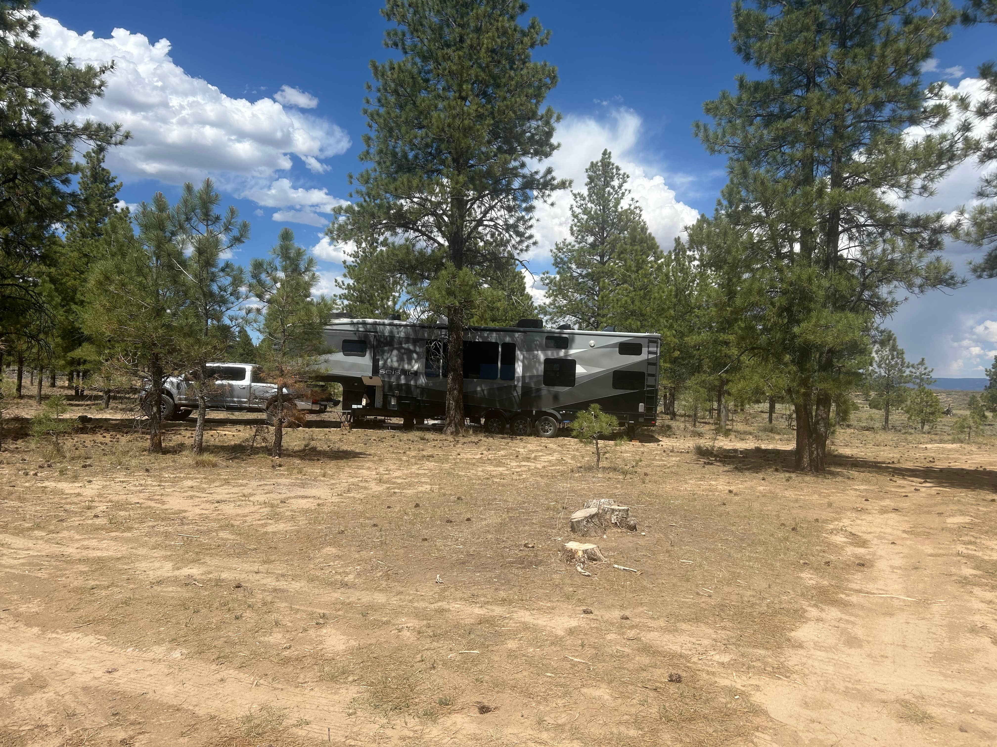 Camper submitted image from Dixie National Forest Dispersed Camping Area - 1