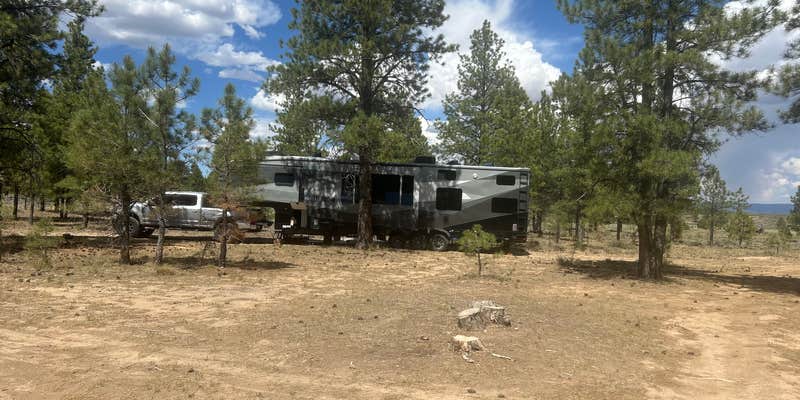 Camper submitted image from Dixie National Forest Dispersed Camping Area