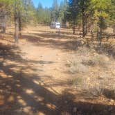 Review photo of Dixie National Forest Dispersed Camping Area by Reid , October 28, 2024