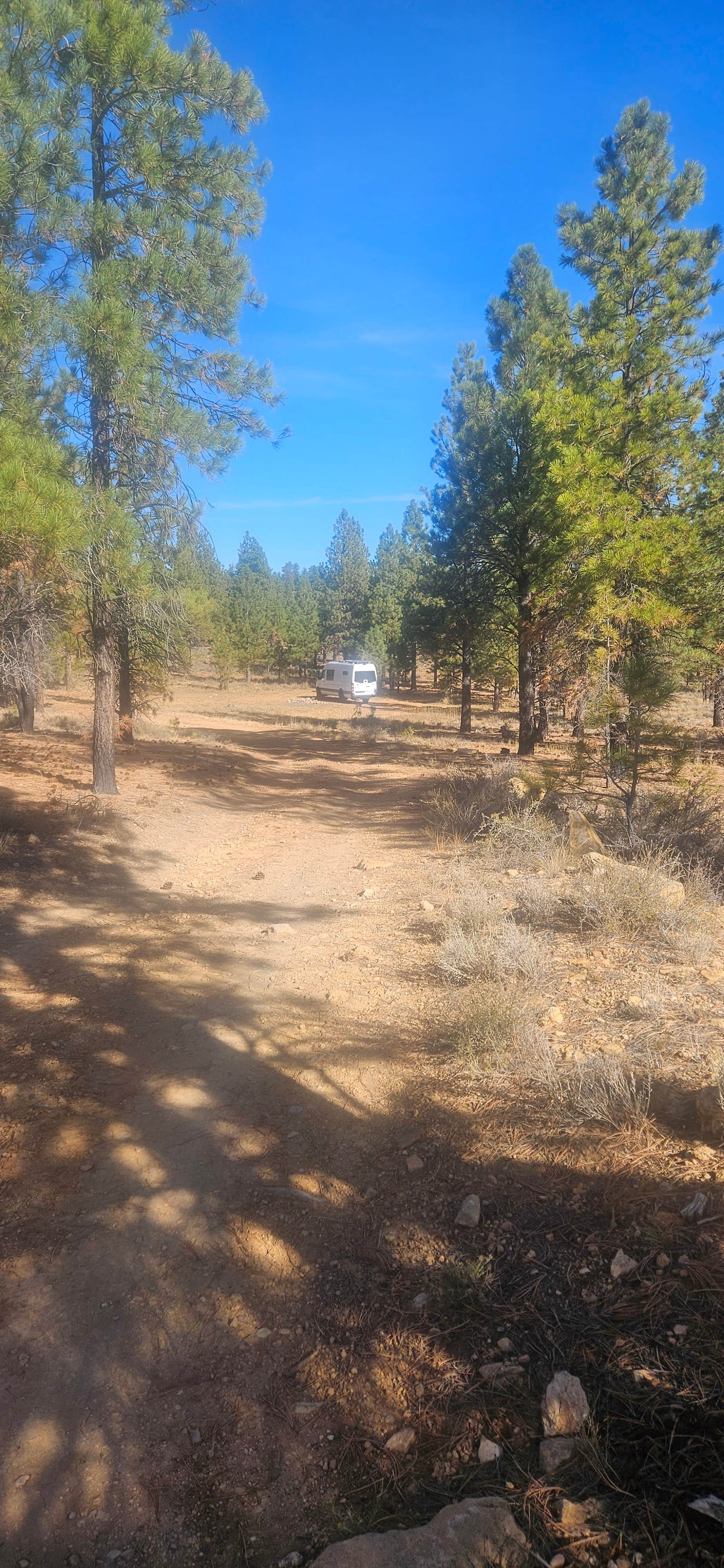 Camper submitted image from Dixie National Forest Dispersed Camping Area - 4