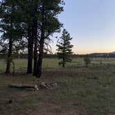 Review photo of Tom Best Spring Road FR117 Dispersed - Dixie National Forest by Lauren S., June 24, 2024