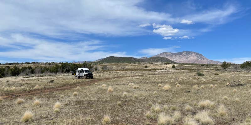 Camper submitted image from Dixie National Forest FR901 Dispersed