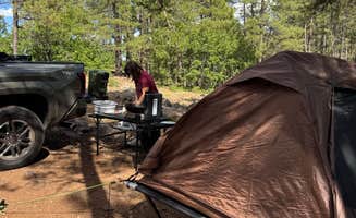 Luis D.'s photo of a dispersed camping area at DLTs in Arizona