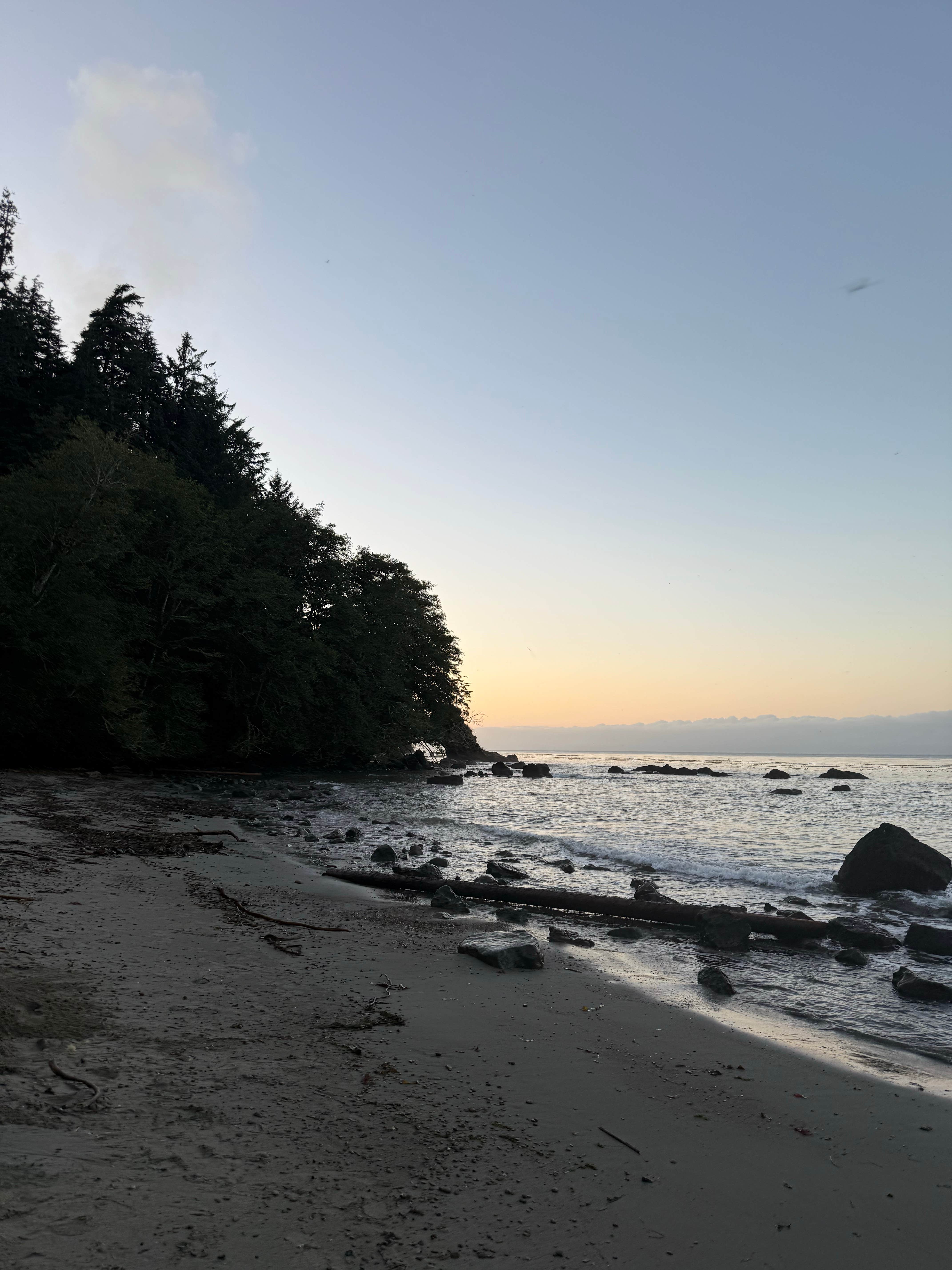 DNR Dispersed Campsite