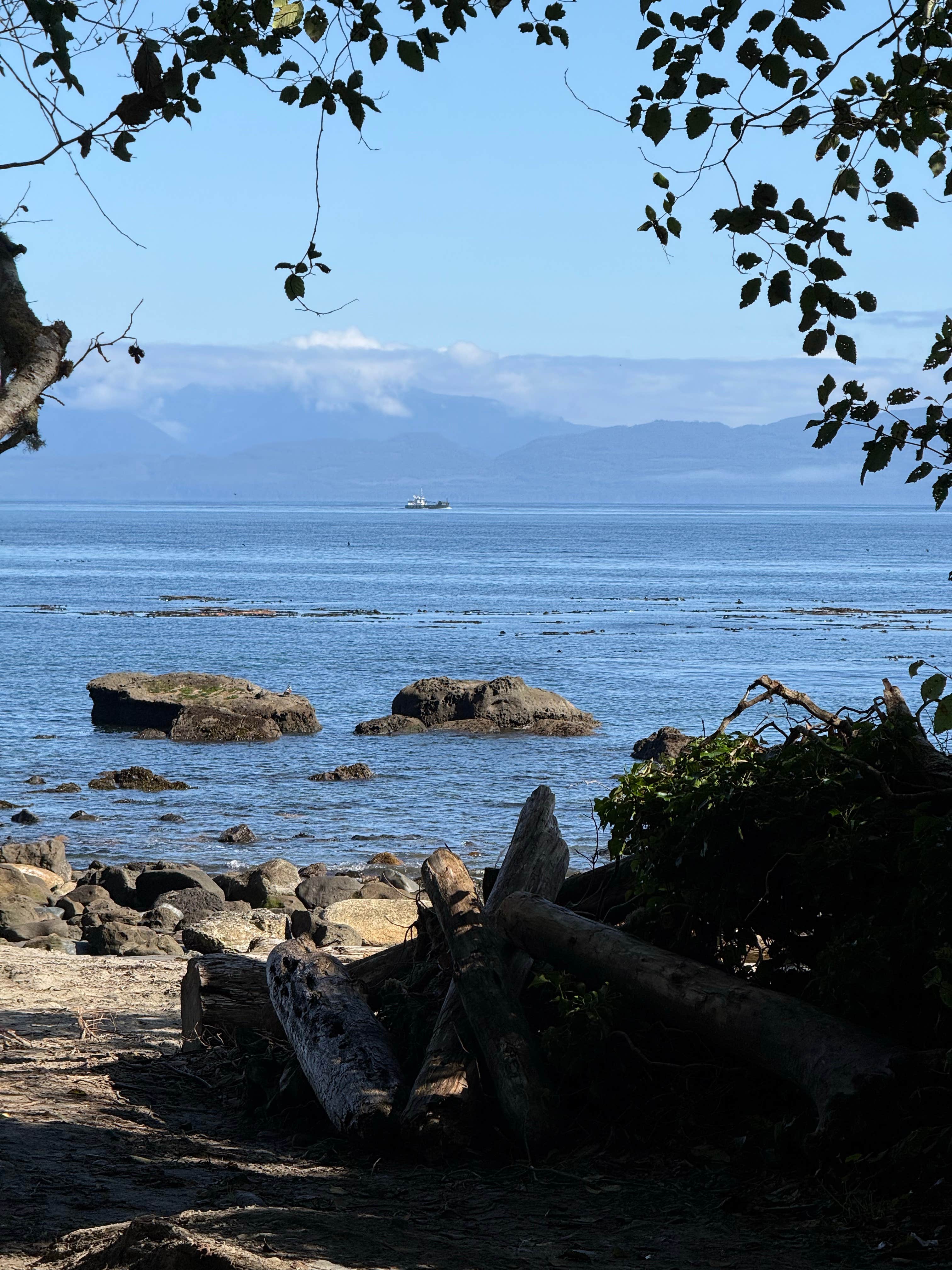 Camper-submitted photo at DNR Dispersed Campsite near Neah Bay, WA