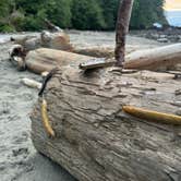 Review photo of DNR Dispersed Campsite by jam , June 27, 2025