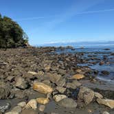 Review photo of DNR Dispersed Campsite by Lila B., September 15, 2025