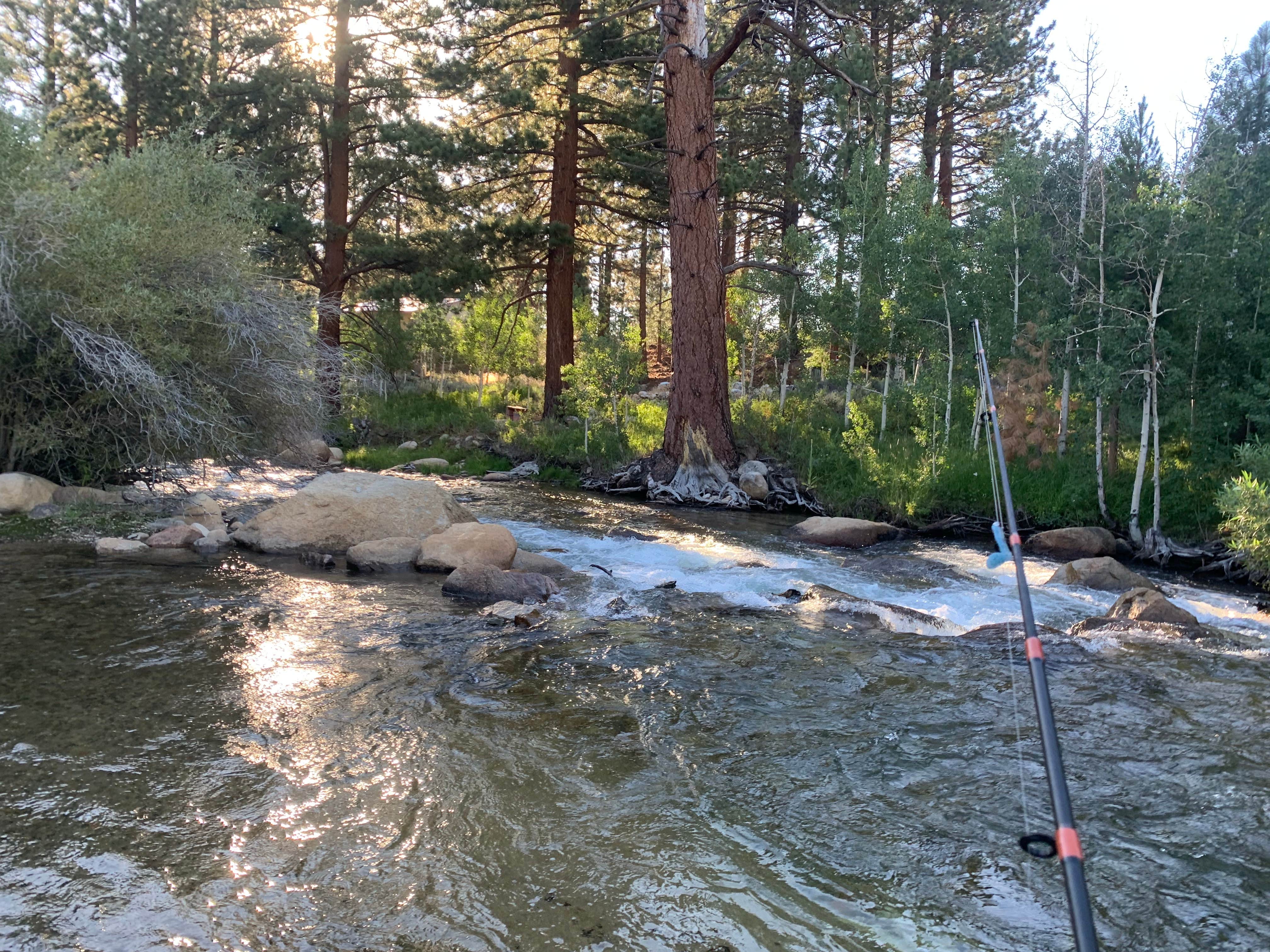 Camper-submitted photo at Doc & Al's Robinson Creek Resort near Hawthorne, NV
