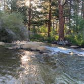 Review photo of Doc & Al's Robinson Creek Resort by Anthony L., July 30, 2026