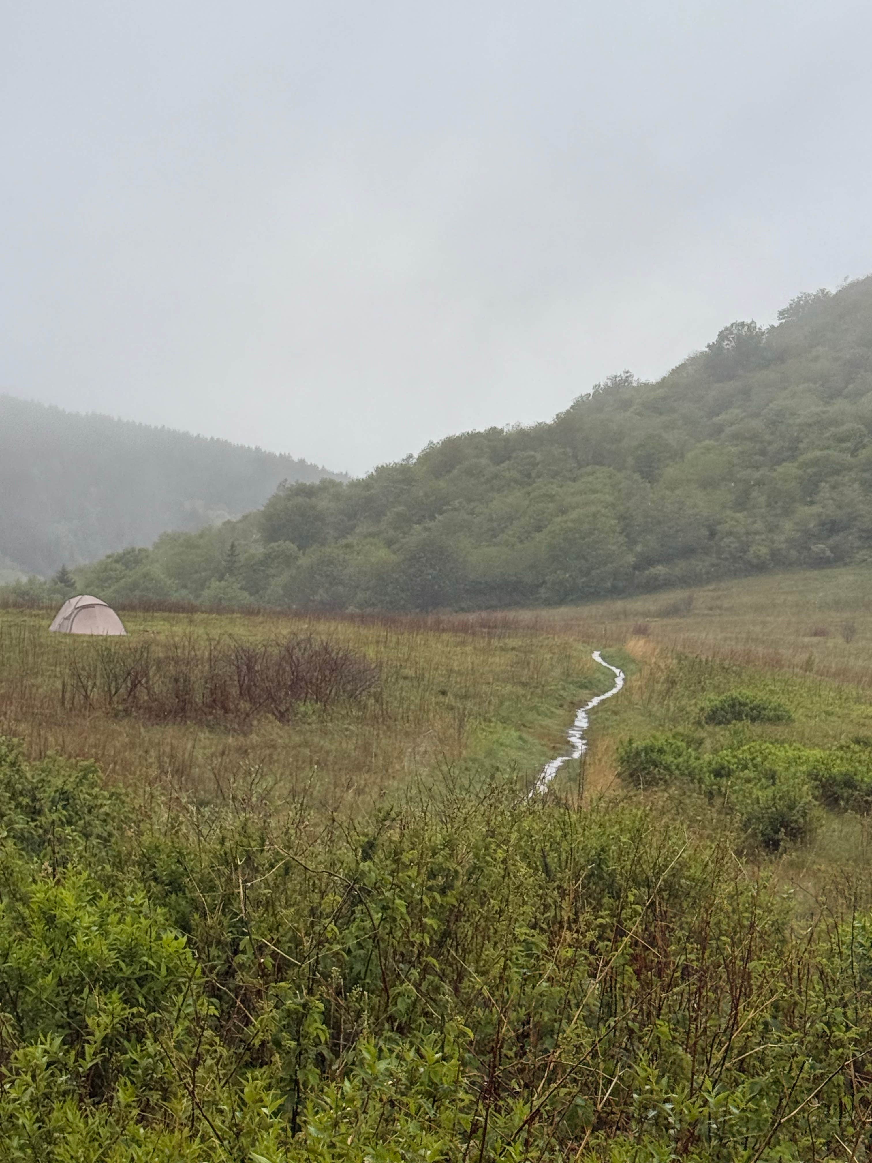PhD B.'s photo of a dispersed camping area at Doc’s Medow near Cleveland, SC