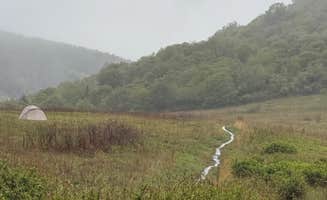 PhD B.'s photo of a dispersed camping area at Doc’s Medow near Penrose, NC