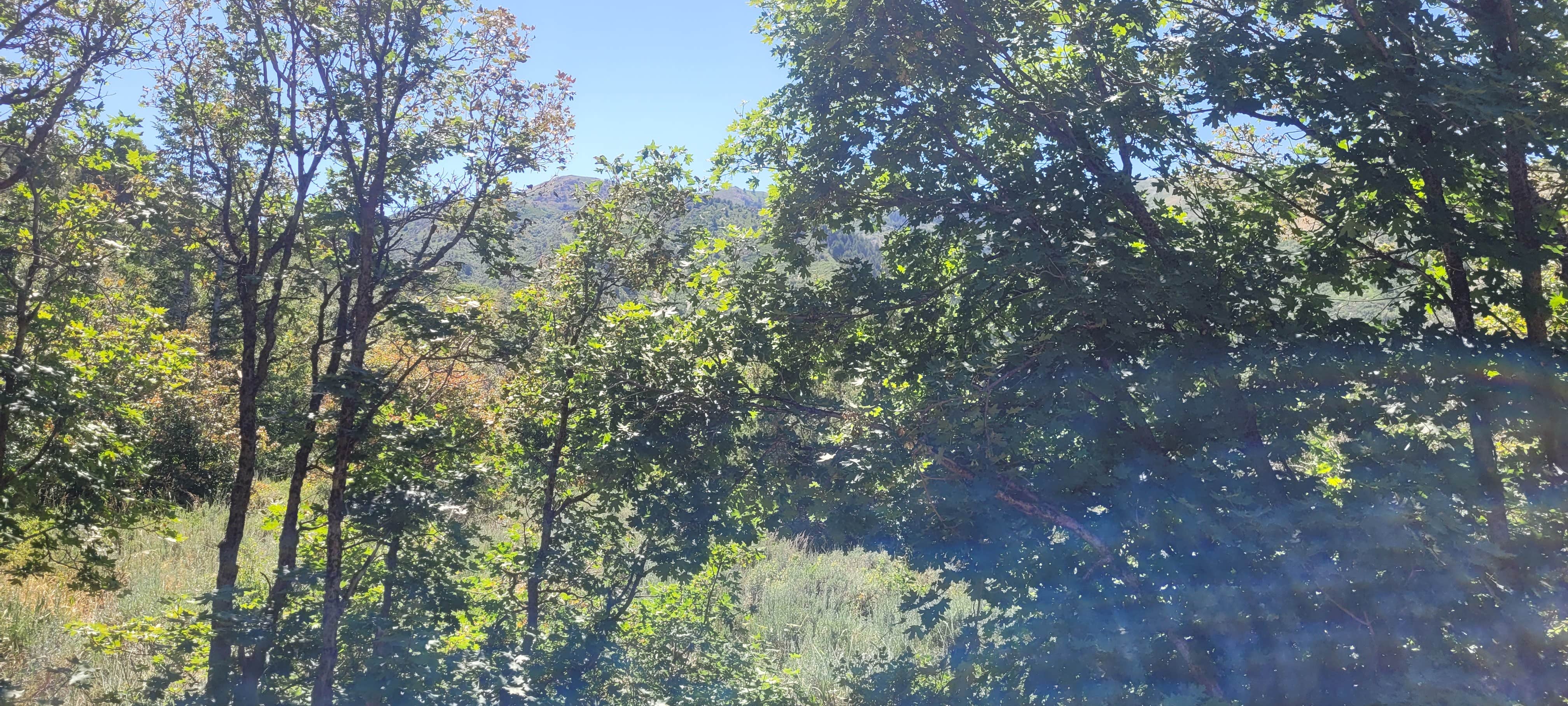 Camper-submitted photo at Dock Flat Campground near Uinta-Wasatch-Cache National Forest