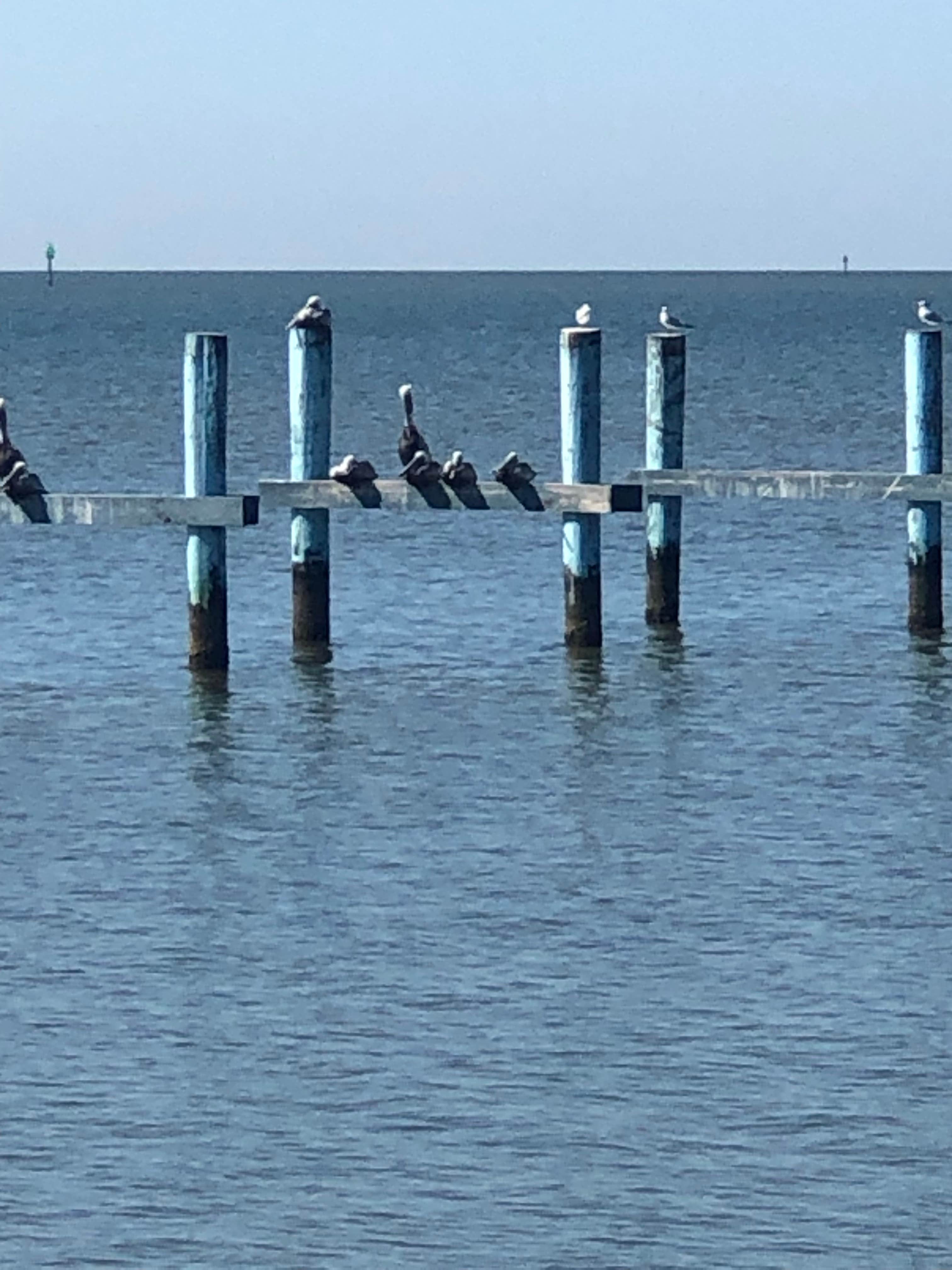 Camper-submitted photo at Dockside RV Resort near Dauphin Island, AL