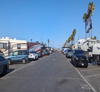 Camper-submitted photo from San Mateo Campground — San Onofre State Beach