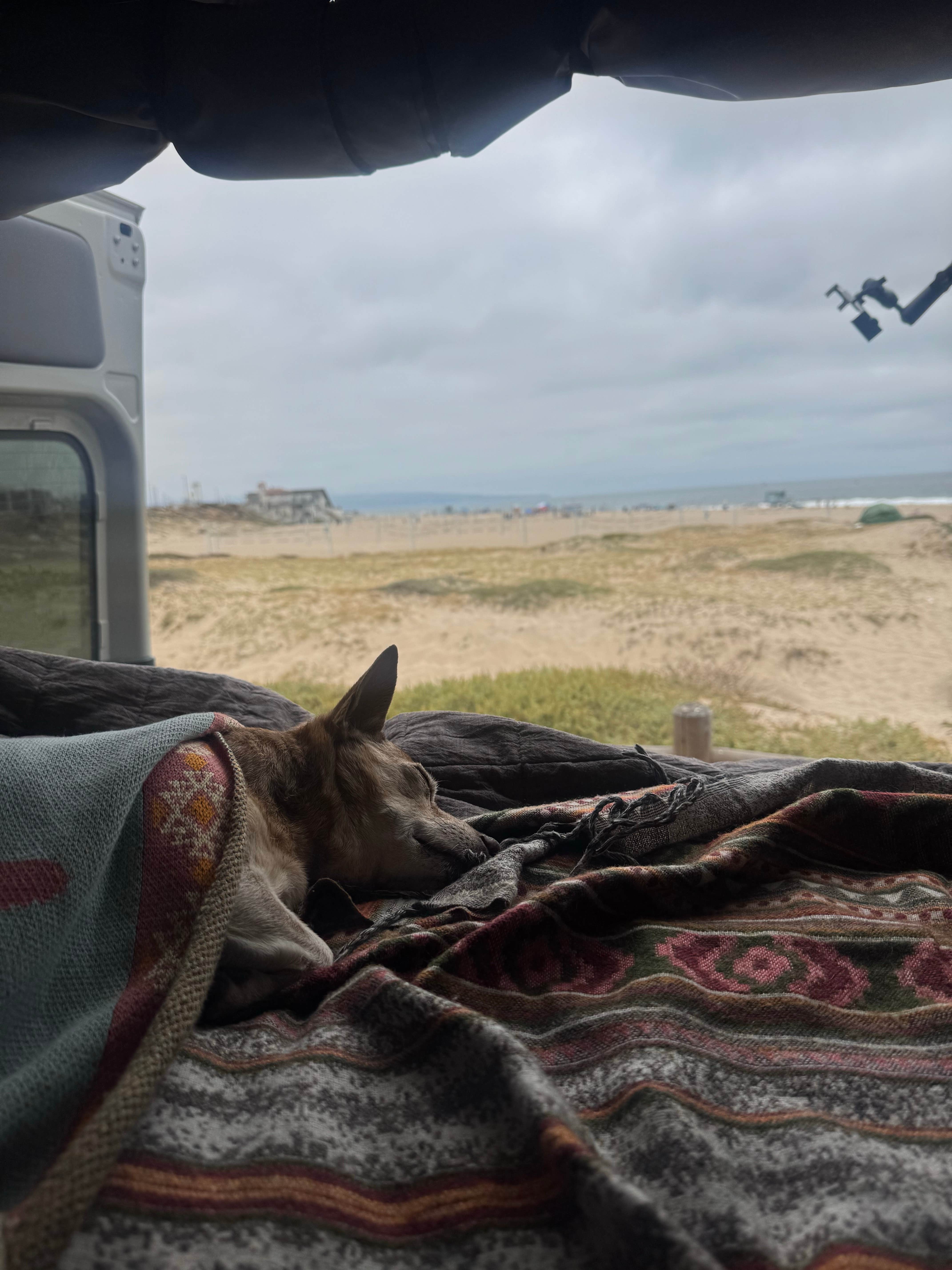 PJ M.'s photo of camping with pets at Dockweiler Beach RV Park near South Gate, CA