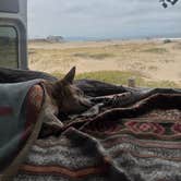 Review photo of Dockweiler Beach RV Park by PJ M., July 15, 2025